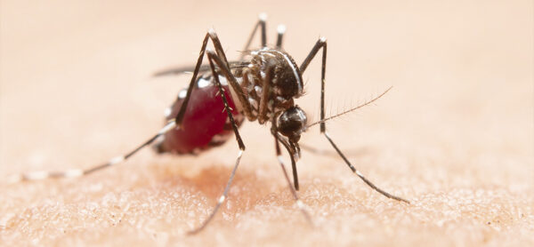 Confira os cuidados nas obras